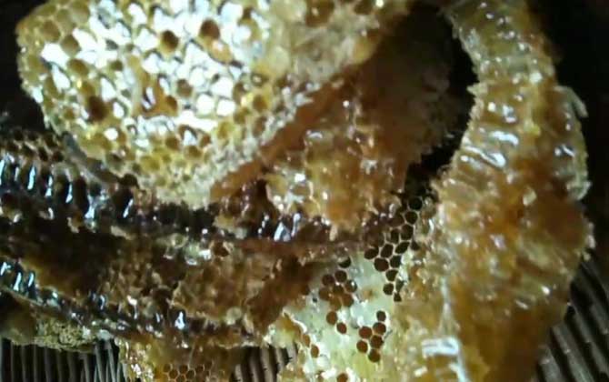 土蜂蜜的作用與功效及食用方法 土蜂蜜