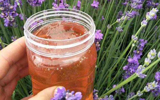 薰衣草蜜的作用與功效及食用方法 薰衣草蜜