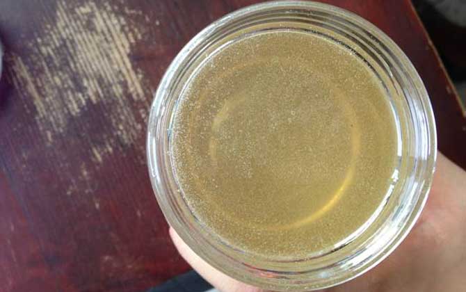 洋槐蜜的功效與作用及食用方法 洋槐蜜