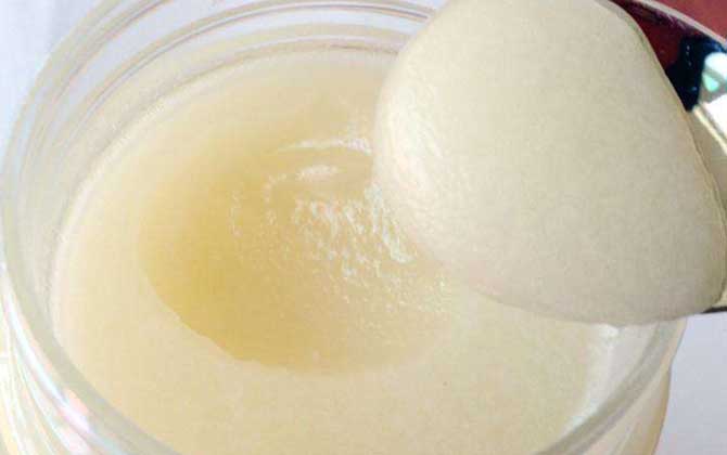 雪脂蓮蜜價格多少錢一斤? 雪脂蓮蜜