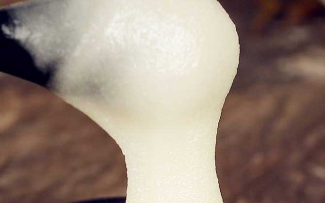 天山雪蜜價格多少錢一斤? 天山雪蜜