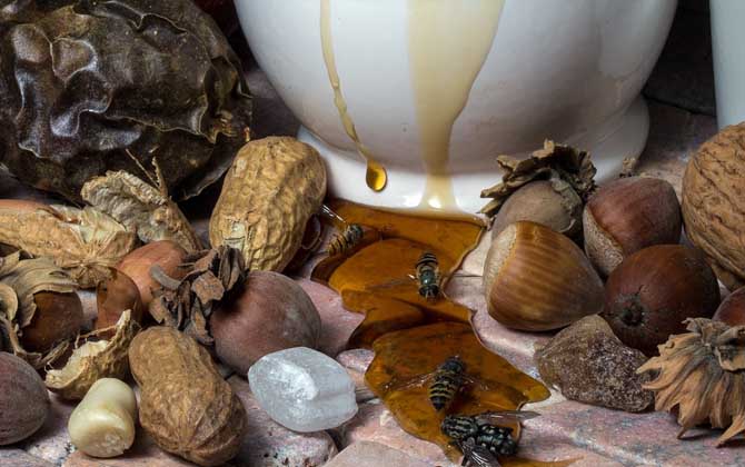 最新蜂蜜價格表及選購方法 蜂蜜