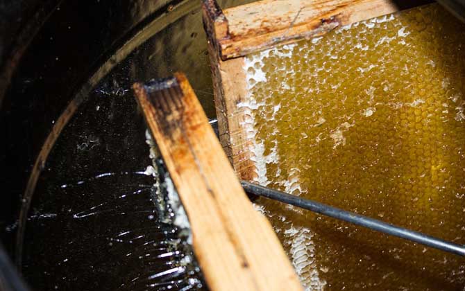 最新蜂蜜價格表及選購方法 蜂蜜