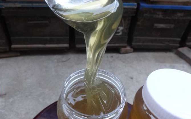 陳醋蜂蜜水的功效及正確喝法 蜂蜜