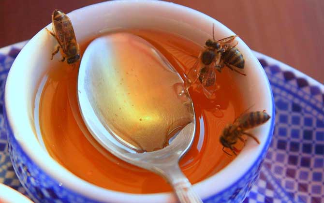 生姜蜂蜜水減肥法原理及正確喝法 蜂蜜