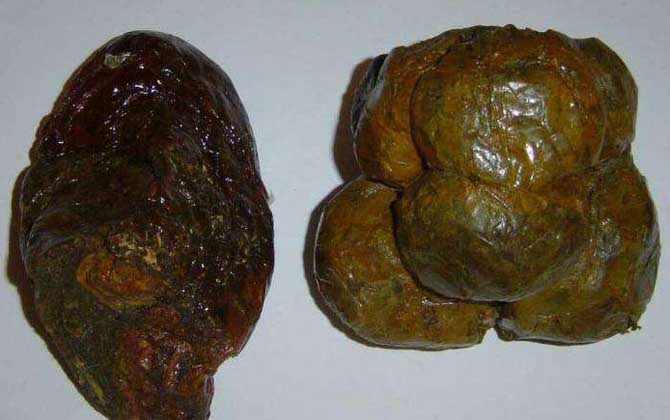 沒加工的蜂膠怎么吃? 蜂膠