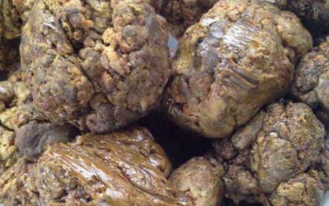 沒加工的蜂膠怎么吃? 蜂膠