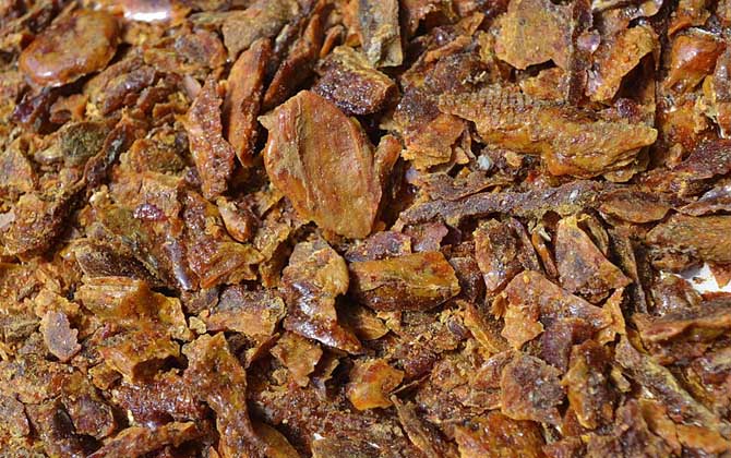 蜂膠泡酒一天喝多少合適? 蜂膠