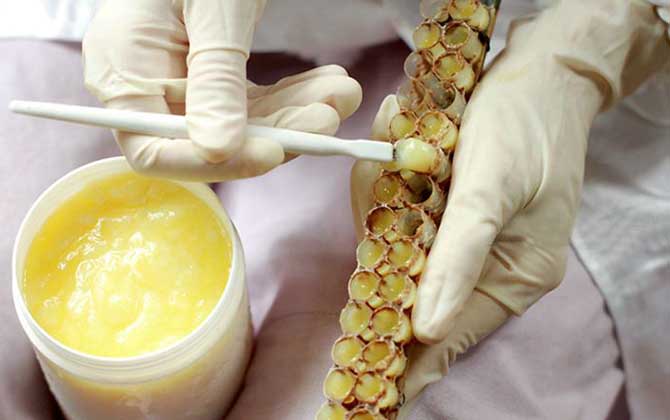 蜂王漿的作用與功效及食用方法 蜂王漿