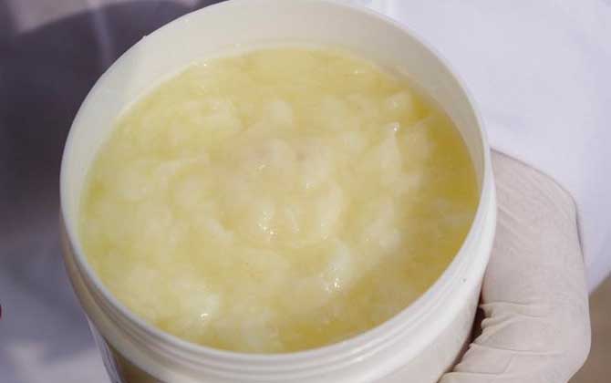 蜂王漿變質是什么樣子的? 蜂王漿