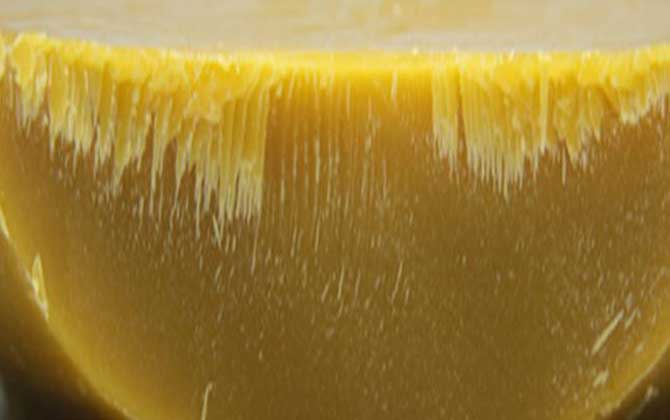 蜂蠟的真假怎么鑒別? 蜂蠟