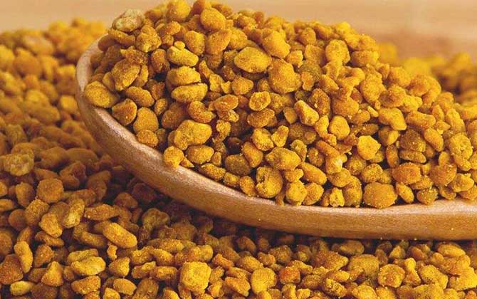 茶花粉的功效與作用及食用方法 茶花粉