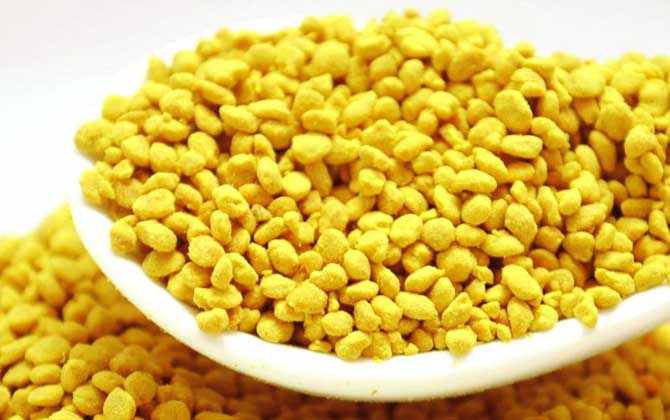 油菜花粉的功效與作用及食用方法 油菜花粉