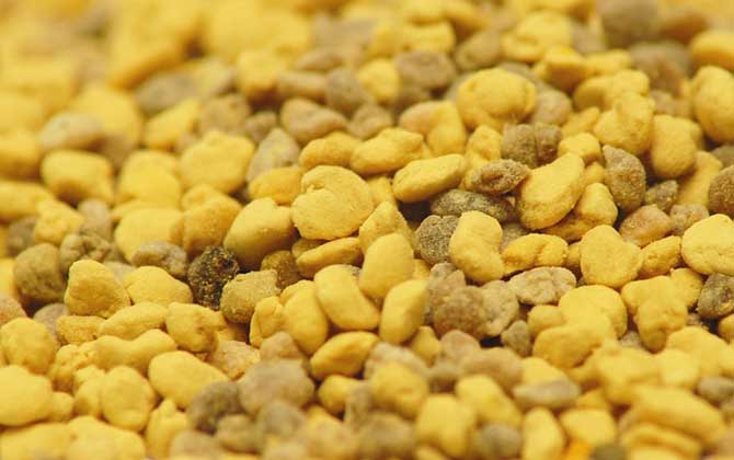 蜂花粉怎么吃效果最好? 蜂花粉