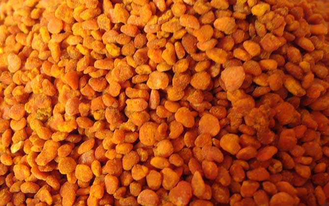 茶花粉和荷花粉哪個好? 茶花粉