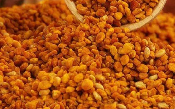 茶花粉的功效與副作用及禁忌 茶花粉