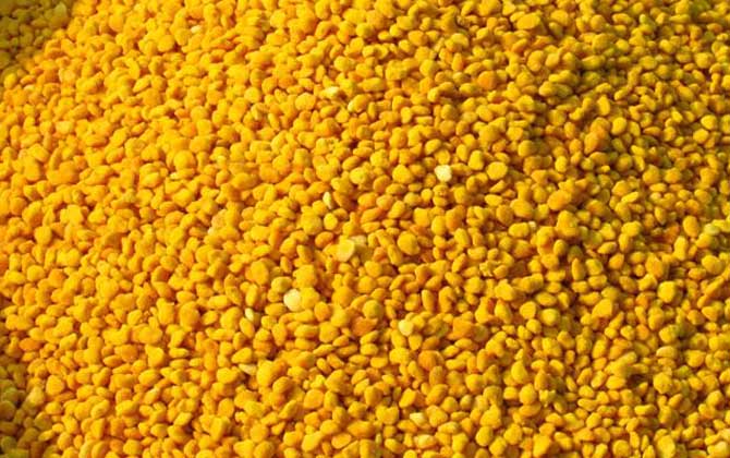 長期吃荷花粉有什么危害? 荷花粉