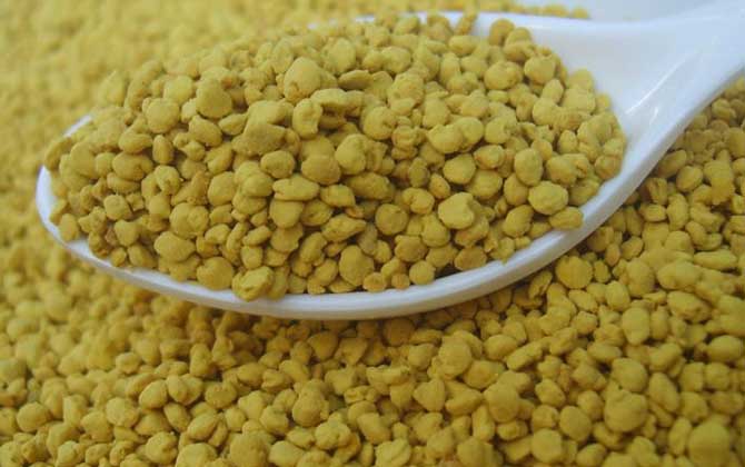 油菜花粉對性功能有好處嗎? 油菜花粉