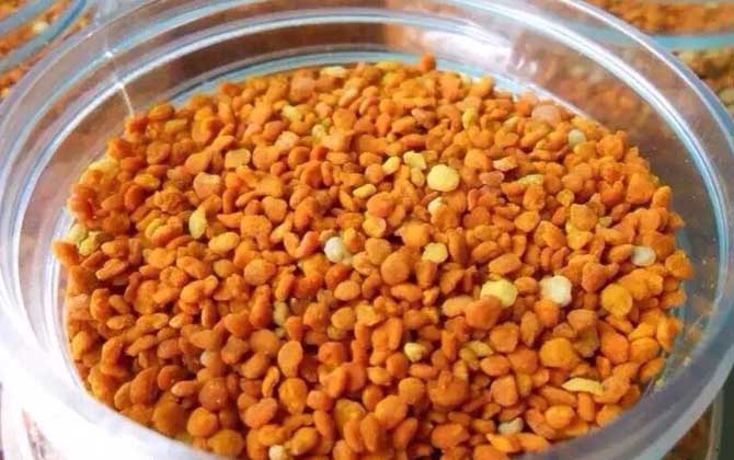 茶花粉和蜂蜜怎么喝最好? 茶花粉