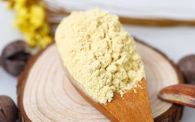 松花粉價格表及選購技巧 松花粉