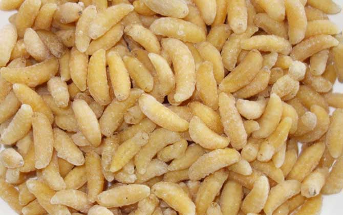 蜂蛹含有哪些營養成分? 蜂蛹