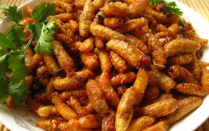 蜂蛹怎么吃最有營養? 蜂蛹