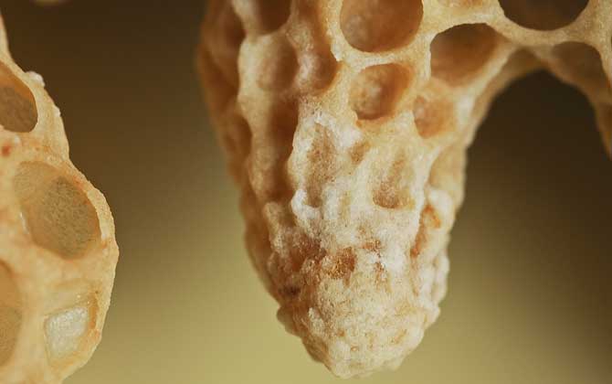 蜂王是怎樣產生的? 蜂王