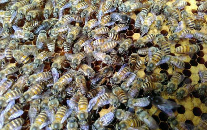 失王什么時候介王最好? 介王