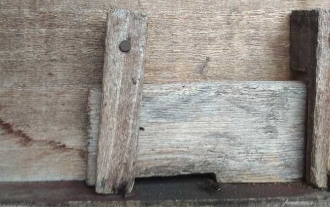 蜂箱最簡單的制作方法 蜂箱