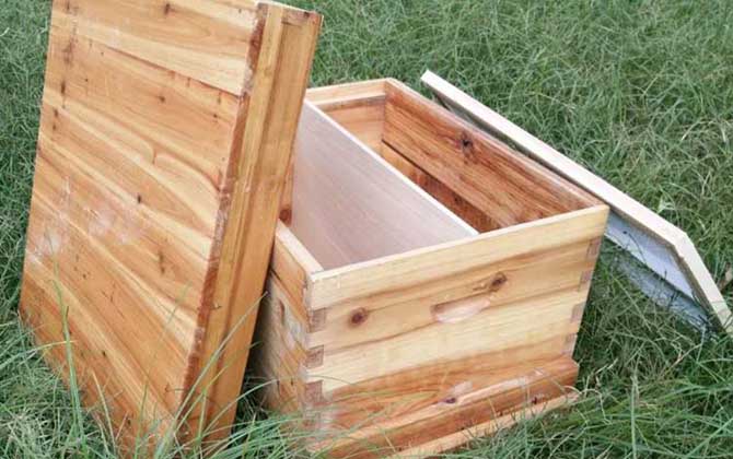 30元一個(gè)蜂箱是真的嗎? 蜂箱