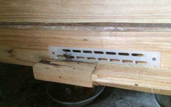 防逃片的參考價格及使用方法 防逃片