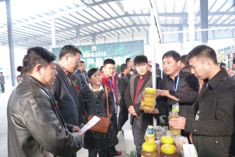 “養(yǎng)蜂大王” 細(xì)數(shù)致富經(jīng) 養(yǎng)蜂人 劉尚才 東北黑蜂 養(yǎng)蜂