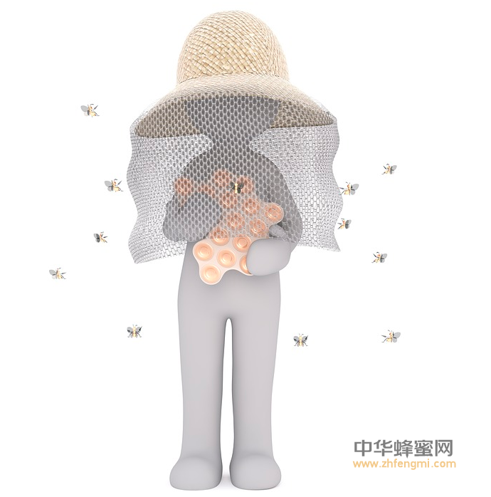 養蜂者的后人 養蜂人 養蜂