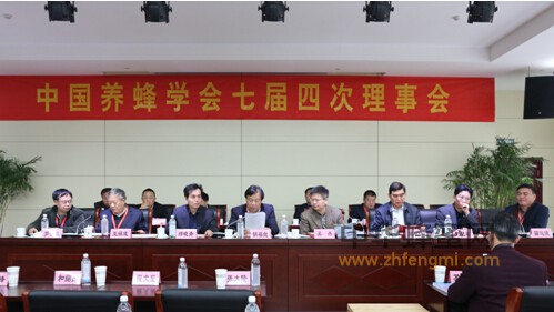 中國養蜂學會 理事會 濟寧 中國蜜蜂日 蜂療培訓 蜂箱