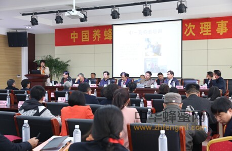 中國養蜂學會 蜂療培訓 中國養蜂學會 理事會 濟寧 中國蜜蜂日 蜂療培訓 蜂箱