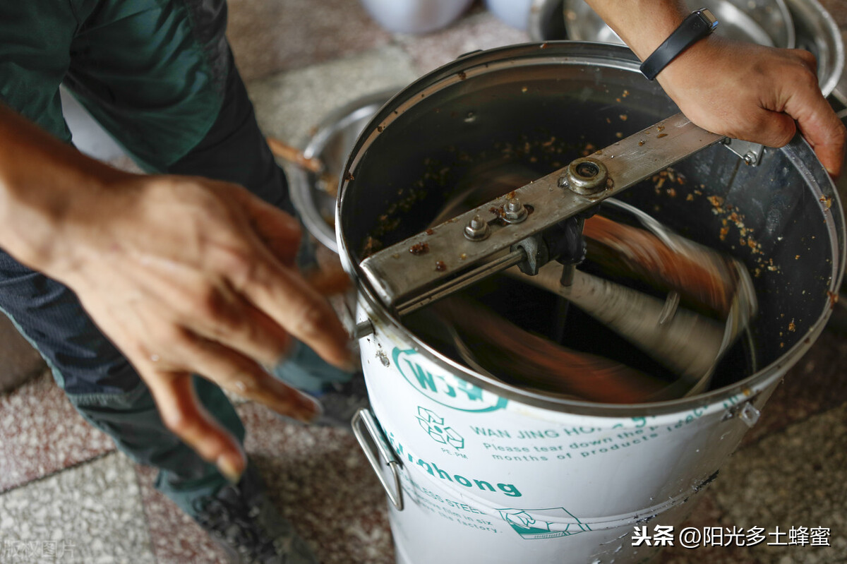 你試過刮脾取蜜嗎？它真的優(yōu)于搖蜜機取蜜嗎？