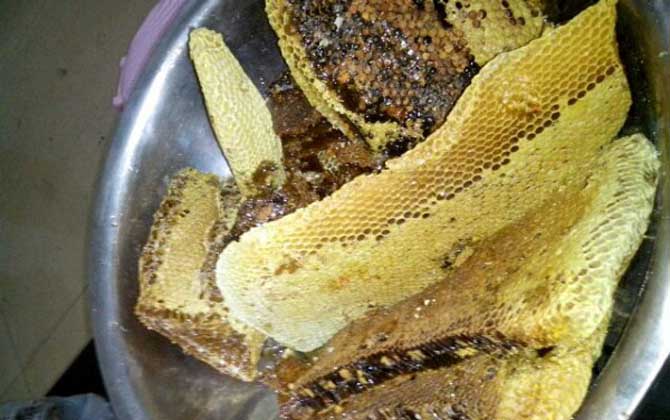 土養(yǎng)蜜蜂取蜜在什么時(shí)候好 土養(yǎng)蜜蜂取蜜在什么時(shí)候好