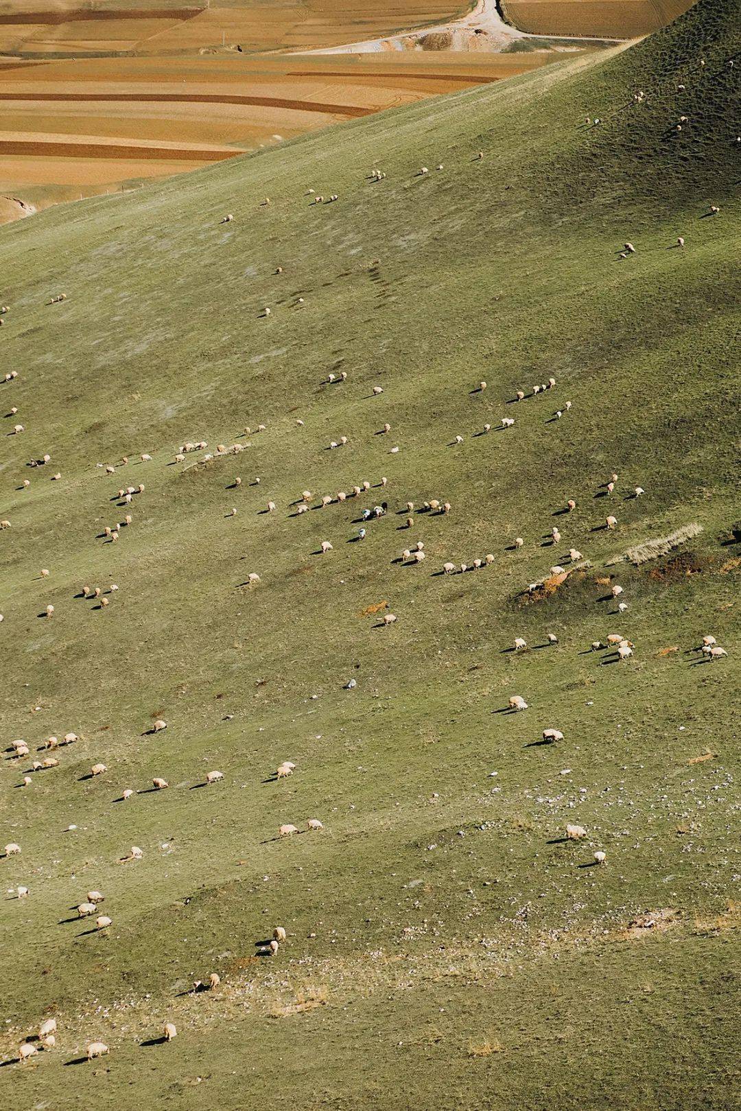 哪一程的旅行滿足了你對「去遠方」的美好幻想