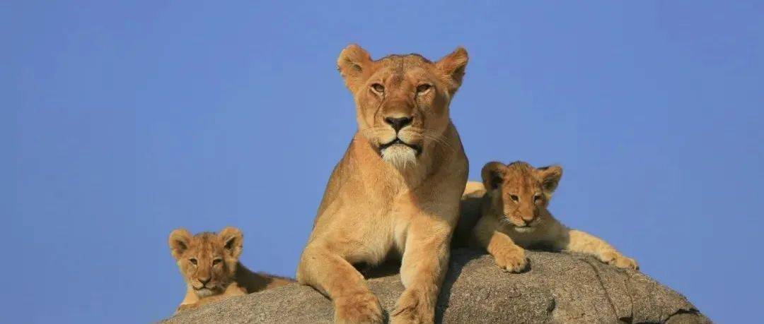 哪一程的旅行滿足了你對「去遠方」的美好幻想