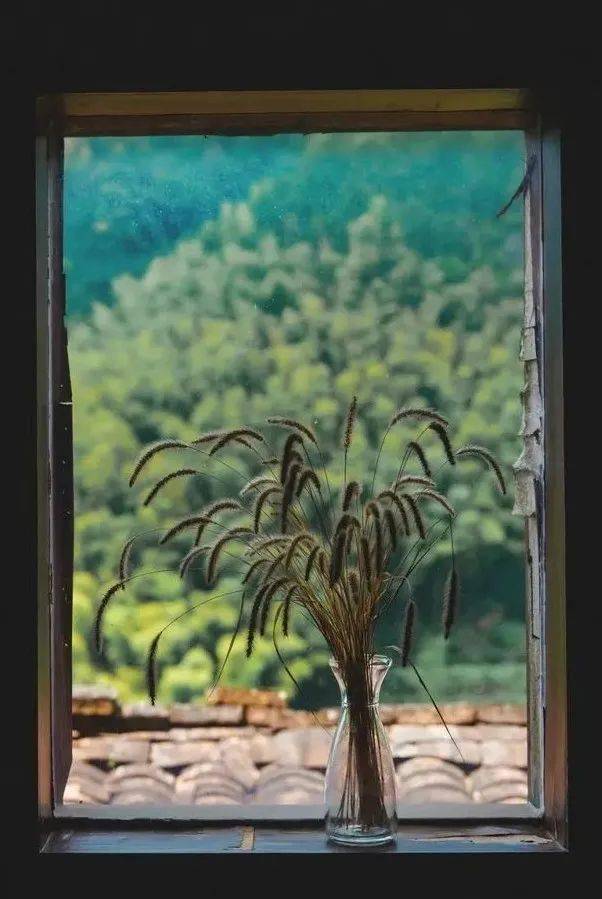 哪一程的旅行滿足了你對「去遠方」的美好幻想