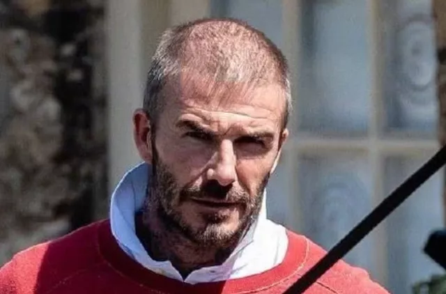 中國(guó)熬夜地圖,哪里的人最喜歡熬夜 中國(guó)人哪里人最容易禿?這9個(gè)省份的人注意了