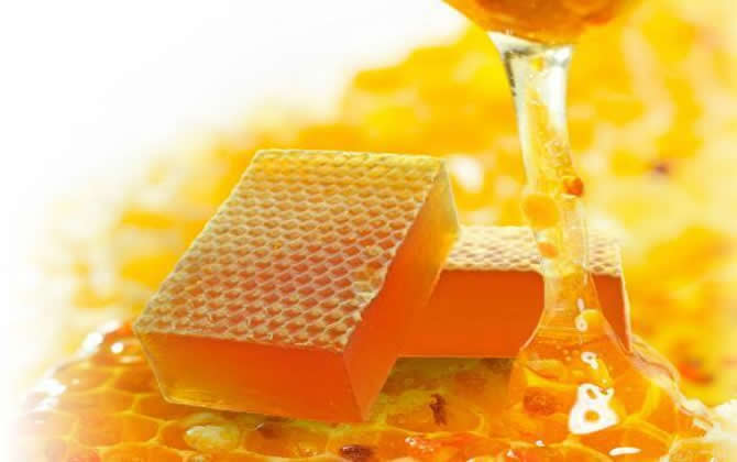 土蜂蜜多少錢 土蜂蜜多少錢
