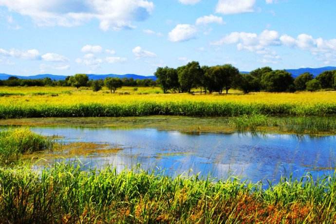 【蜜蜂養殖】一百只蜂的蛋群速繁法 一百只蜂的蛋群速繁法