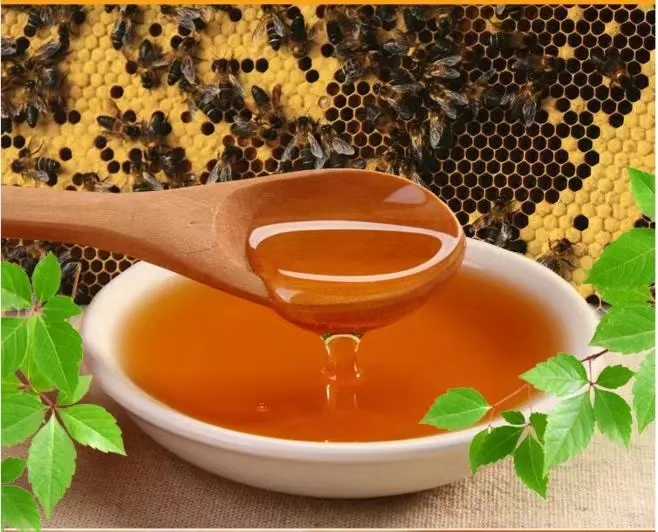 新疆蜂蜜是什么蜜蜂產的(新疆的蜂蜜品種都有哪些) 新疆蜂蜜是什么蜜蜂產的(新疆的蜂蜜品種都有哪些)