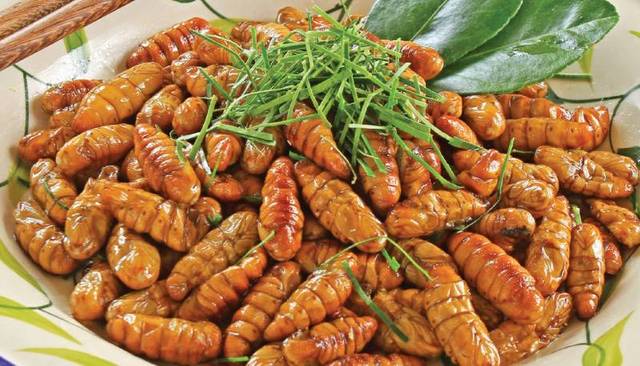 蜂蛹和蠶蛹有什么區(qū)別(蜂蛹和蠶蛹的營養(yǎng)價值一樣嗎) 蜂蛹和蠶蛹有什么區(qū)別(蜂蛹和蠶蛹的營養(yǎng)價值一樣嗎)