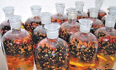 胡蜂酒的功效與作用(胡蜂酒有哪幾種功效) 胡蜂酒的功效與作用(胡蜂酒有哪幾種功效)