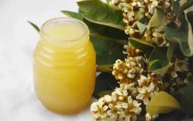 什么是枇杷蜜(枇杷蜜介紹) 什么是枇杷蜜(枇杷蜜介紹)