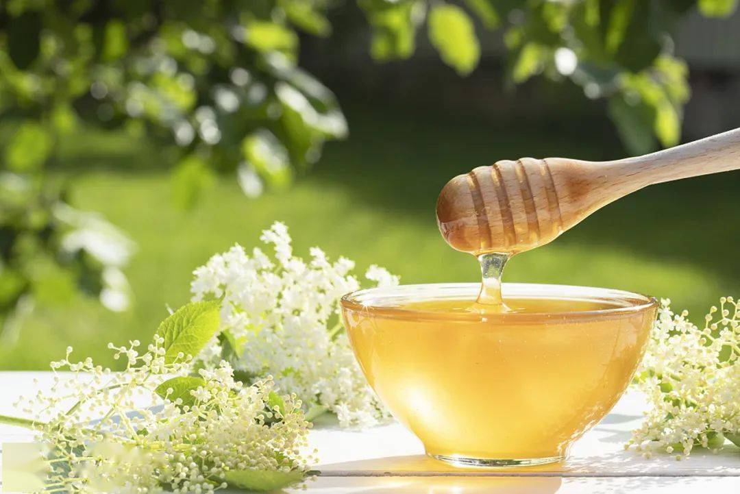 在農村養蜜蜂要花多少錢(農村養蜂成本) 在農村養蜜蜂要花多少錢(農村養蜂成本)