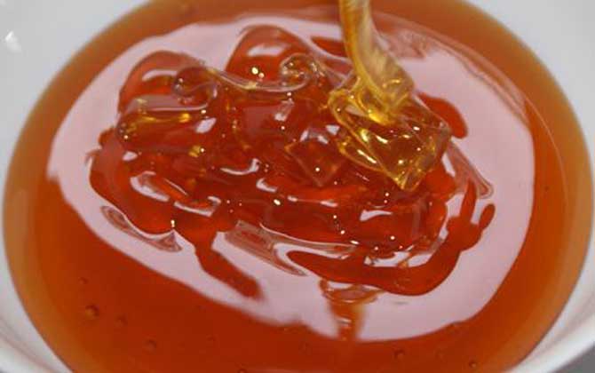 五倍子蜜的蜜源植物(五倍子蜜的產地分布) 五倍子蜜的蜜源植物(五倍子蜜的產地分布)