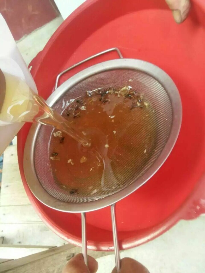 工蜂產(chǎn)卵介入新王有用嗎（工蜂產(chǎn)卵群能介入蜂王嗎）